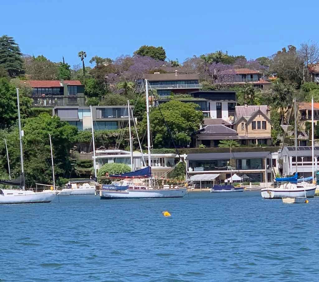 October 2022 Jacaranda Cruise Image -6361c87b64555